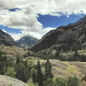 A Great Variety of Morbid Symptoms