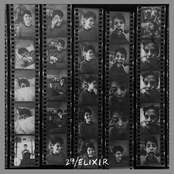 29 / Elixir