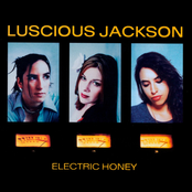 Devotion by Luscious Jackson