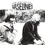 enter the vaselines