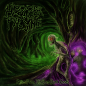 Relics of the Deep Dark Woods