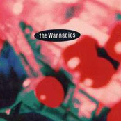 Blister In The Sun by The Wannadies