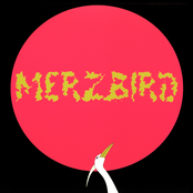 Mandarin Duck by Merzbow