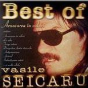 Best of-Aruncarea in Valuri, 2001- Vasile Seicaru