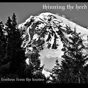 Freedom From The Known