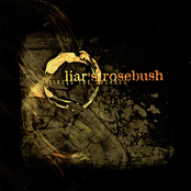 I Spit On Your Breaks by Liar's Rosebush