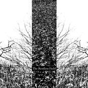 The Restless Field
