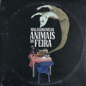 Animais da feira