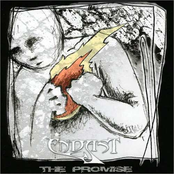 The Promise by Endast