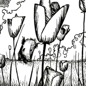 The Flowers of St. Francis Vol. 3