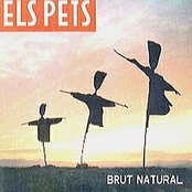 Aquesta Nit Agafo Una Ceba by Els Pets