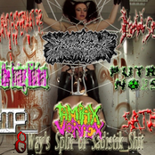 8 Way's Split of Sadistik Shit