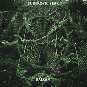 Subtropic Year