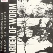 Extra Sensorial Perceptions