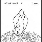 Planes 1 by Professor Penguin