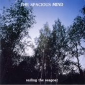 Waiting For You In The Woods Of Dawn by The Spacious Mind