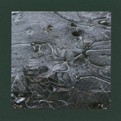 The Trail Loops Back