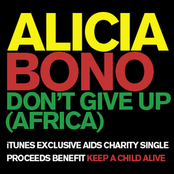 Don't Give Up (Africa) - Single (iTunes Exclusive Aids Charity Single)