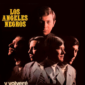 Y Volveré by Los Ángeles Negros