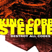 Punished By Funk by King Cobb Steelie