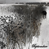 by the wings of a tragedy