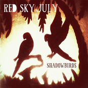 Shadowbirds by Red Sky July