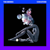 The Brinks: Comatose