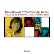 David Cassidy: Could It Be Forever...The Greatest Hits