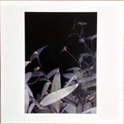 Crystal Drops / Ground Loops