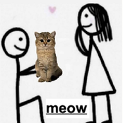 meow