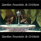 Garden Fountain and Crickets