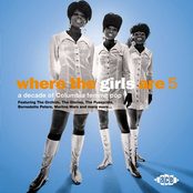Where The Girls Are - Volume 5