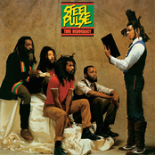 Steel Pulse: True Democracy