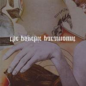 Gamelan Into the Mink Supernatural EP