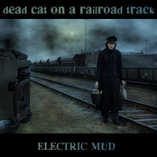 Electric Mud: Dead Cat On a Railroad Track