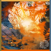 Won’t Follow You Home - Single