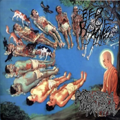 split with postmortem human offal