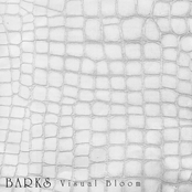 BARKS Visual Bloom