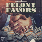 Felony Favors