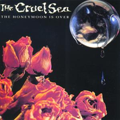 Blame It On The Moon by The Cruel Sea