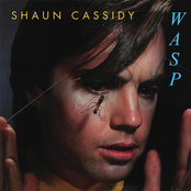 Shaun Cassidy: Wasp