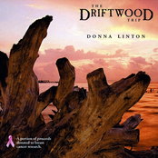 The Driftwood Trip