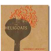 Goodness Gracious by The Heligoats