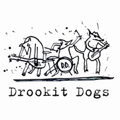 drookit dogs