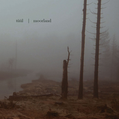 moorland