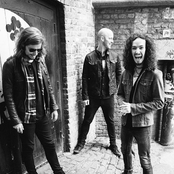 Raveneye