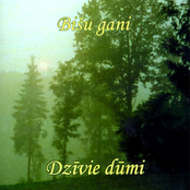 Es Dieviņu Pieminēju by Bišu Gani