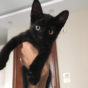 zanim poznalem barbare