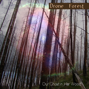 our ghost in her wood