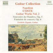 Coste: Guitar Works, Vol. 2